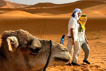 From Marrakech: 3-Day Private Excursion to the Erg Chegaga Sahara
