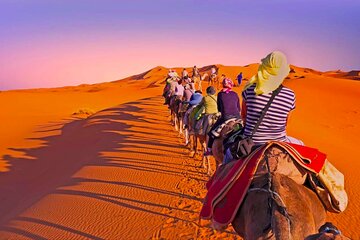 2 Days, 1 Night Luxury Desert Trip (Fes to Fes Or Marrakech)