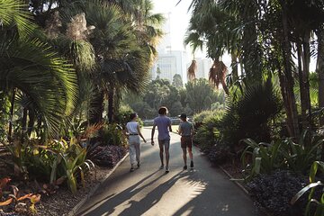 Foraging Food Tour Sydney: Taste the Bush (All inclusive)