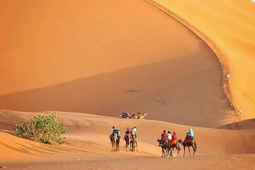 Marrakech to Fez via Merzouga Desert 3-Days | Marrakech-to-Fes