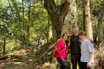 1 Day Hiking Tour in the Mountains of Kyoto