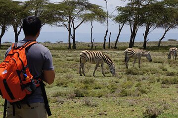 Crescent Island Walking Safari & Naivasha Boat Ride
