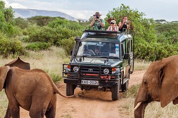 5-Days Tanzania Joining Group Safari : Best Price 2025/2026