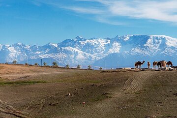 Agafay Desert Sunset tour with camel ride ,dinner and show 