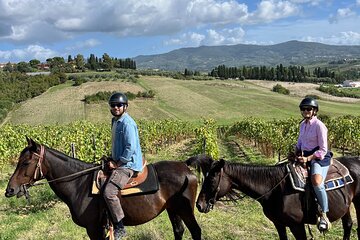 Horseback Riding in Tuscany: Vineyard Lunch & Wine Tasting