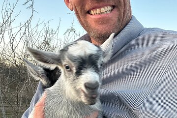 Birds, bees, plants and goats.