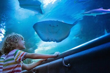 Antalya Aquarium Old Town Half-Day Tour with Gold Centre Visit