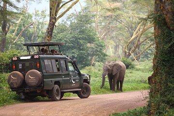 6 Days Masai Mara Serengeti and Ngorongoro on 4x4 Landcruiser