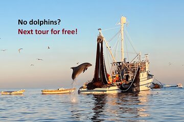Private Sunrise Dolphins & Fishermen at Work boat tour in Rovinj