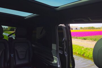 Private Transfer From Amsterdam to Keukenhof