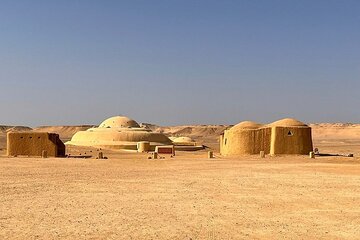 Private Tour To Faiyum Oasis From Cairo or Giza