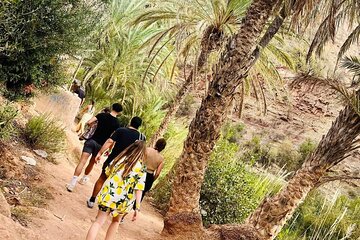 Paradise Valley Agadir Day Trip 