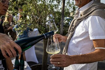 Stellenbosch and Franschhoek Wine Tasting Full Day Guided Tour