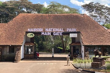 Nairobi National Park Half-Day Game Drive With Free Pick Up