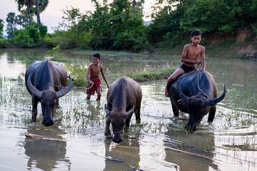 Phnom Penh to Siem Reap include Sambor Prei Kuk by Private Car