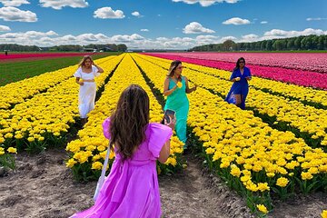 Amsterdam: Tulip Fields Day Tour with Lunch and a Windmill visit