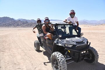 Family Buggy Adventure Desert Safari Tour In Sharm El Sheikh