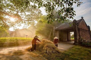 Discover Ba Vi National Park and Duong Lam Village on a Scenic