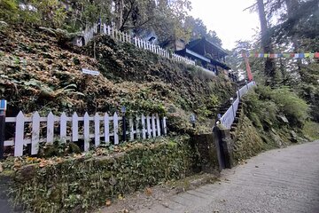 Landour Figure of Eight Walk
