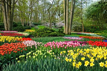 From Amsterdam - Private Keukenhof Garden Tour (Skip-the-line)