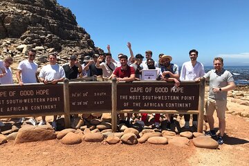  Cape Of Good Hope, Seals, Penguins Small Group 