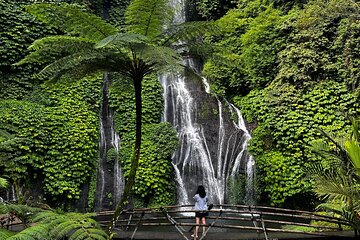 North Bali Ulundanu Temple, Handara Gate , Waterfall