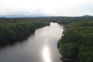 Organic Farm, Chocolate and Gandoca Lagoon Full Day Experience 