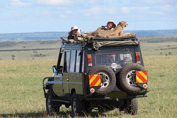 3Days Land Cruiser Jeep Safari to Masai Mara