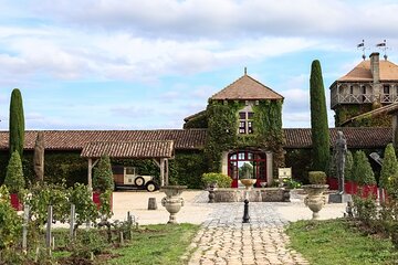Visit to Pessac-Léognan: Vineyards, Lunch and Tastings included