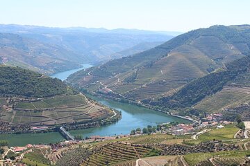 Private Douro Valley Wine Tour for True Wine Lovers