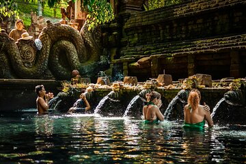 Best Ubud Tour Private Tour All Inclusive Package
