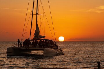 Mykonos: Private Catamaran Cruise with BBQ & Drinks