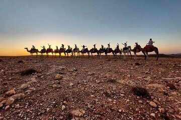 Sunset Camel Ride experience at the Agafay rocky Desert.