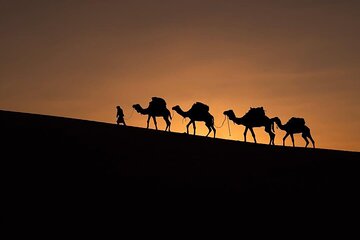  Marrakech to Fes Sunset Camel Desert in Merzouga 