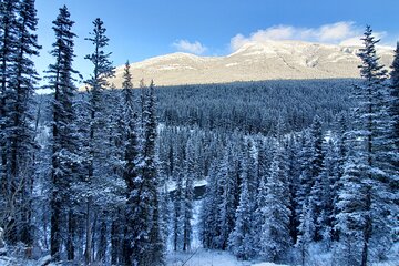 Joffre Lake, Whistler & Vallea Lumina Private Tour