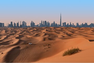 Desert Safari The Essence of the Desert in Dubai