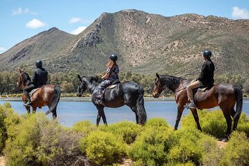 Cape Town Big 5 Safari on Horseback Riding at Aquila Game Reserve