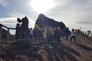 Vesuvius: Half Day Trip from Naples 