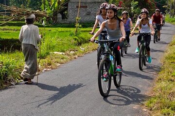 Bali Cycling Explore Village and Firefly with Lunch