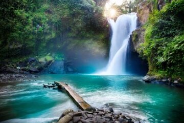 Ubud Tour: Waterfall, Sacred Temple, Rice Terrace, Monkey Forest