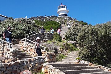 Best Cape Point/Cape of Goodhope/Penguins/Kirstenbosch 