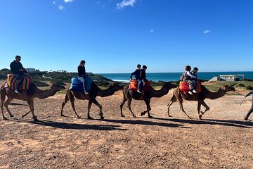 Tangier 1 Day Guided Tour with Transportation
