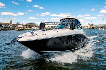 Private Express Cruise Tour in Punta Cana