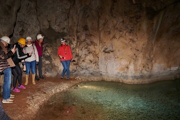 Rome: Colosseum Underground and Celio's Secret Lakes VIP Tour