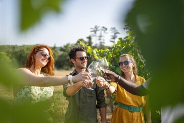 Provence Wine Tour Small Group from Aix
