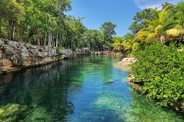 4 Cenote Casa Tortugas Tour with pick up and drop off included