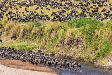  Discover 6-Day (North Serengeti Migration) - Mara River Crossing