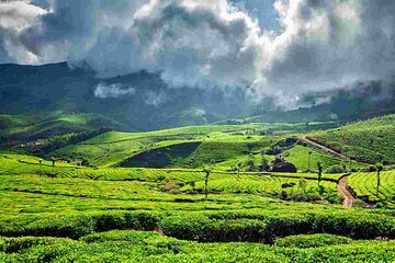 05 Days Kerala Tour