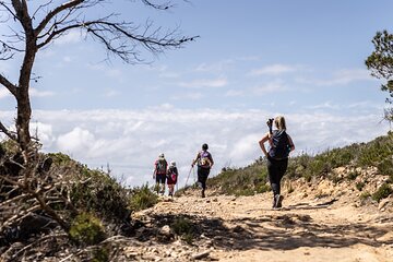 Walk around the island Ibiza in 11 days 