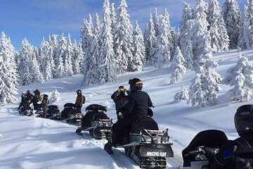 Snowmobile, ATV, Quad Private Day Trip from Bucharest 